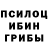 Псилоцибиновые грибы мухоморы Fatimka Kamilova