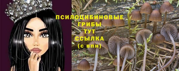 мескалин Коряжма