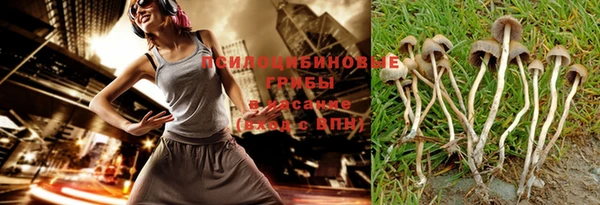 спиды Костерёво
