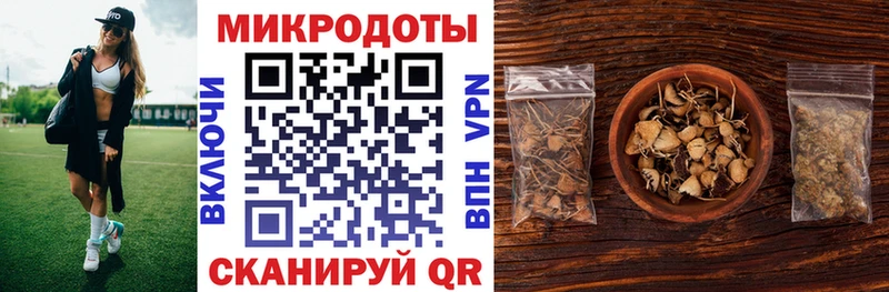 Галлюциногенные грибы прущие грибы  Купить где  Салаир 